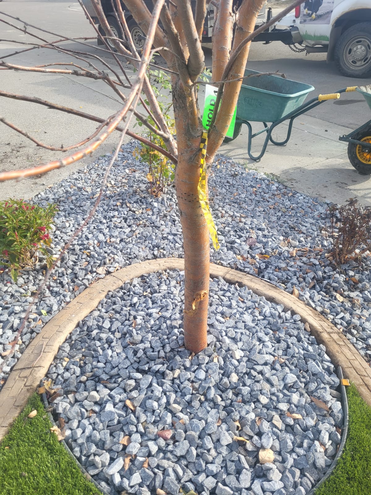 LanLanscaper in Edmontonscaper in Edmonton