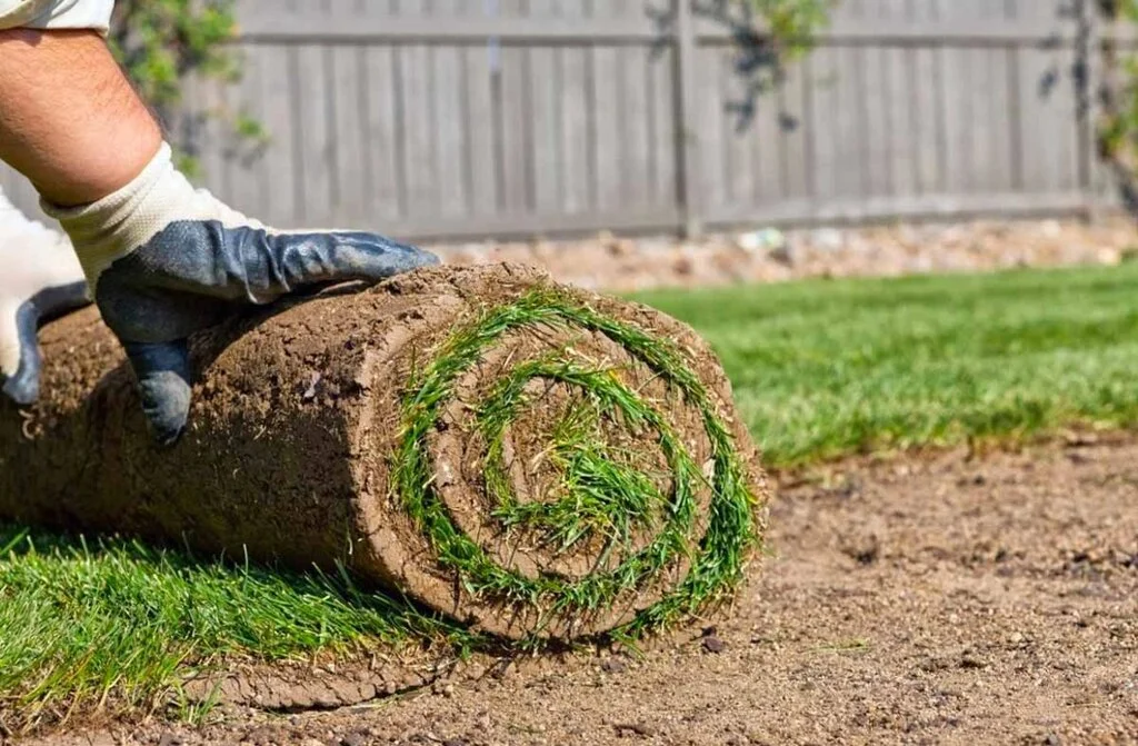 Sod Installation